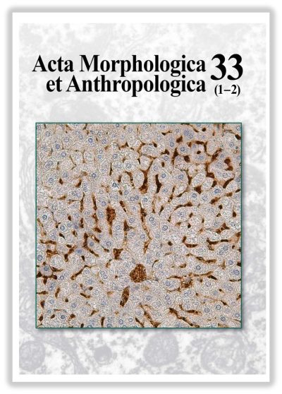 acta_33a